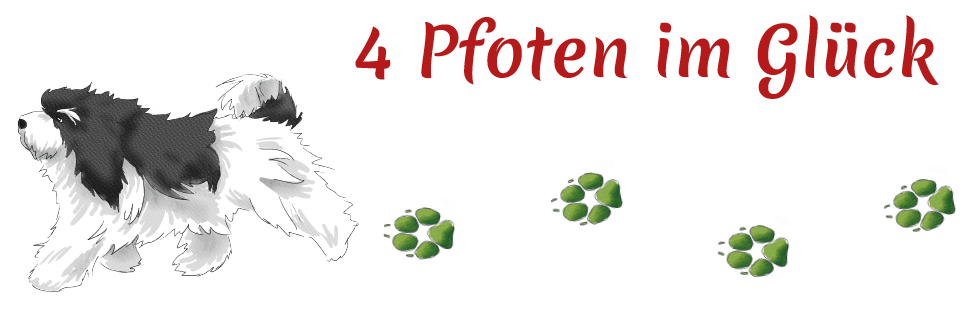4 Pfoten im Glück 